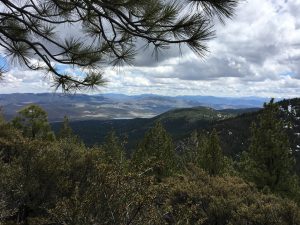 From the trail looking east over Washoe Valley. 