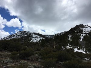 I kept waiting for a great shot of the Mt. Rose summit and the opportunity never came around. Seems like there was cloud cover every time I had a clear angle. 